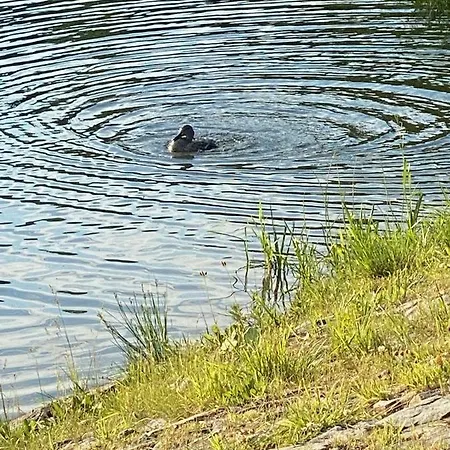 Anielska Сasa de vacaciones Istebna