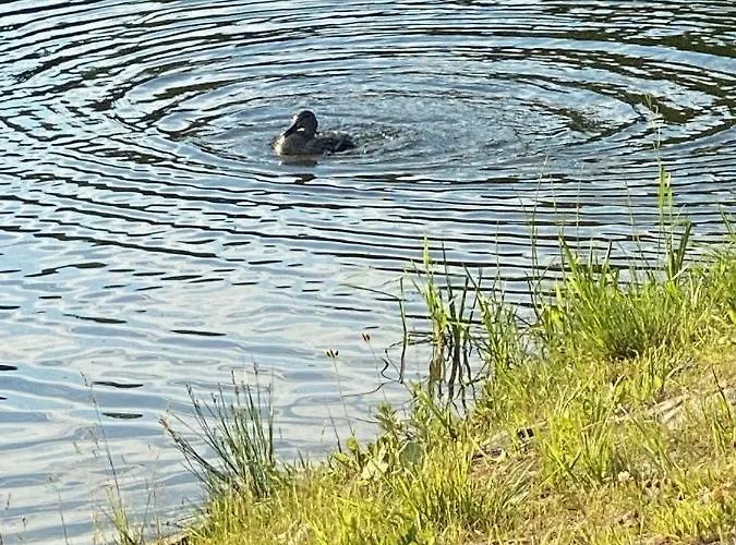 Anielska בית נופש איסטבנה