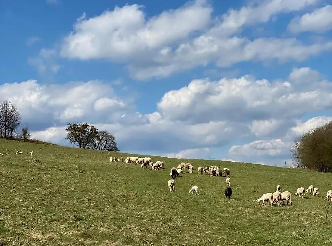 Anielska * איסטבנה